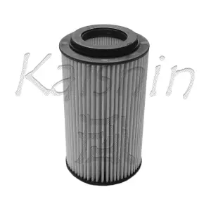 KAISHIN O956