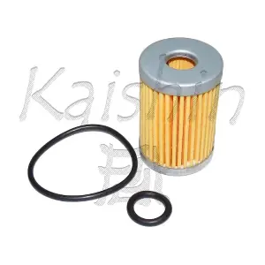 KAISHIN FG001