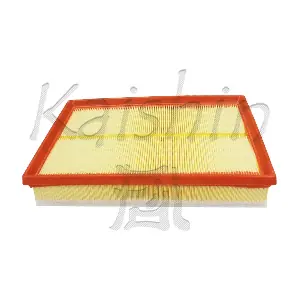 A10492 KAISHIN