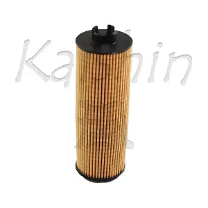 O1007 KAISHIN