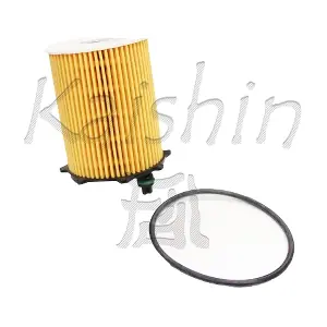 KAISHIN O1034