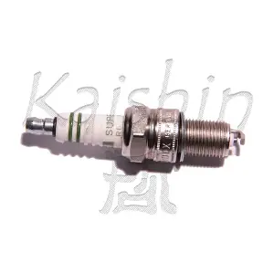 EC229566 KAISHIN