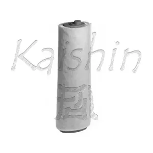 KAISHIN A10181