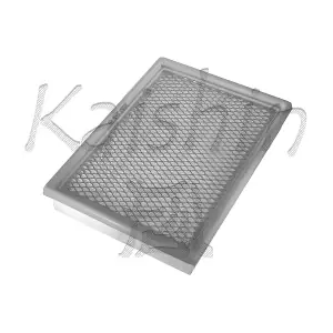 A10020 KAISHIN