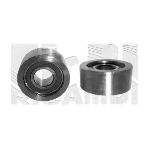 06069 CALIBER