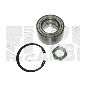 RC9096 CALIBER