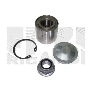 RC3097 CALIBER