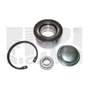 RC6796 CALIBER