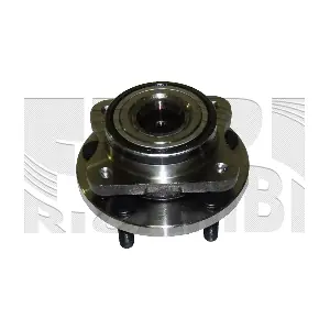 RC10200 CALIBER