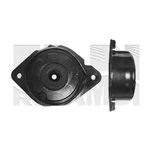 CALIBER 20868