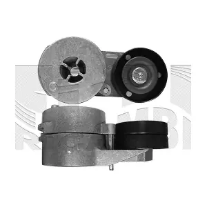 30269 CALIBER