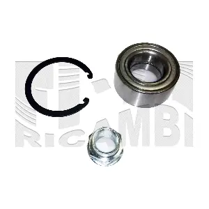 RC10490 CALIBER