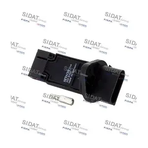 C81041 AUTOTEAM