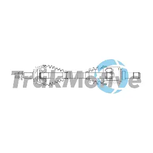 G302391 AUTOTEAM