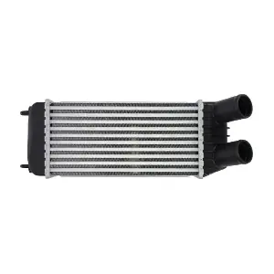 DAP006TT THERMOTEC