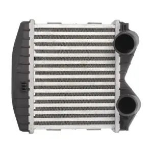 THERMOTEC DAM012TT
