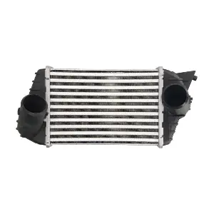 DAF009TT THERMOTEC
