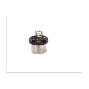 D2VO002TT THERMOTEC