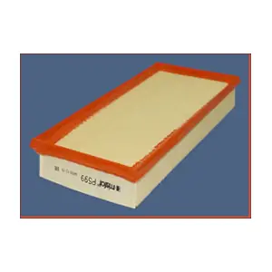 P599 MISFAT