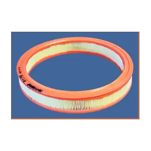 R176 MISFAT