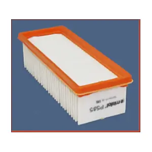 P585 MISFAT
