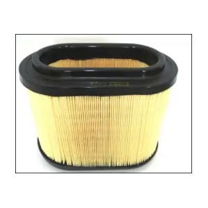 MISFAT R429