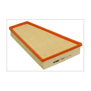 P463 MISFAT