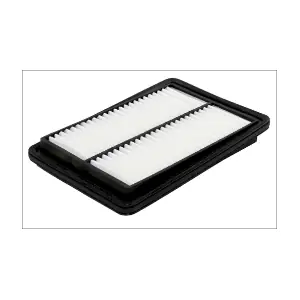 P696 MISFAT