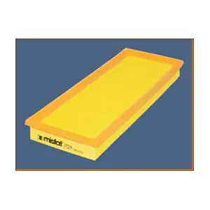 MISFAT P024