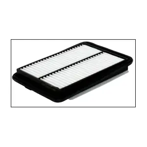 P696A MISFAT