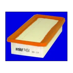 P454 MISFAT