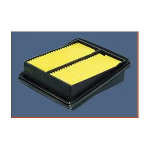 P556 MISFAT