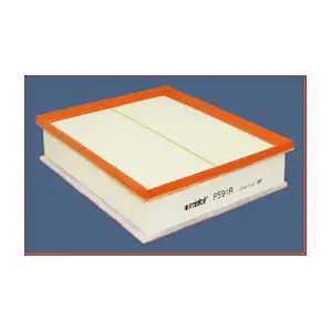 P591A MISFAT