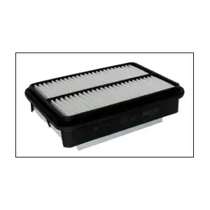 P619A MISFAT