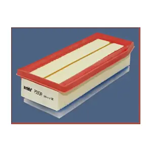 MISFAT P593A