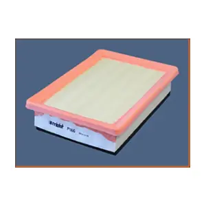 P066 MISFAT