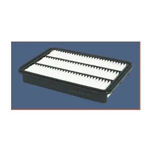 MISFAT P493