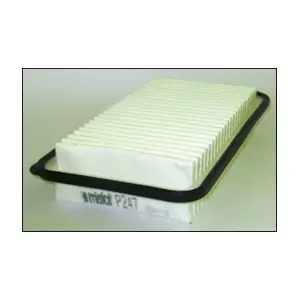 P247 MISFAT