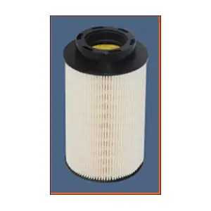 F011 MISFAT