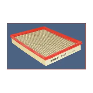 P598 MISFAT