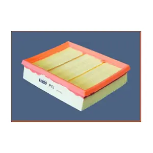 P434 MISFAT