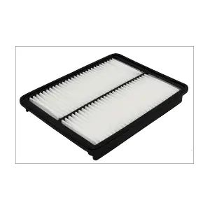 P531 MISFAT