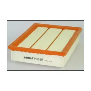 MISFAT P489A
