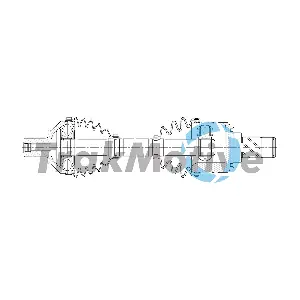 302656 TrakMotive