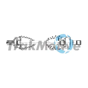 303001 TrakMotive