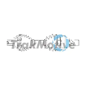 302657 TrakMotive