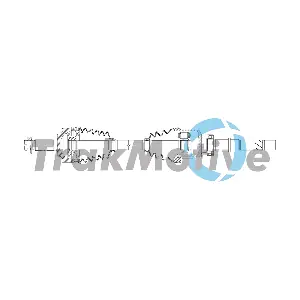 30-2931 TrakMotive