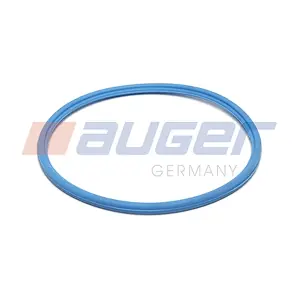 AUGER 102004
