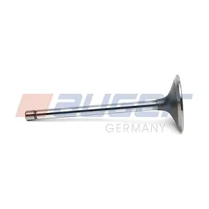 AUGER 109019