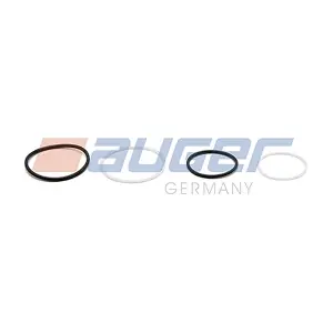 100910 AUGER